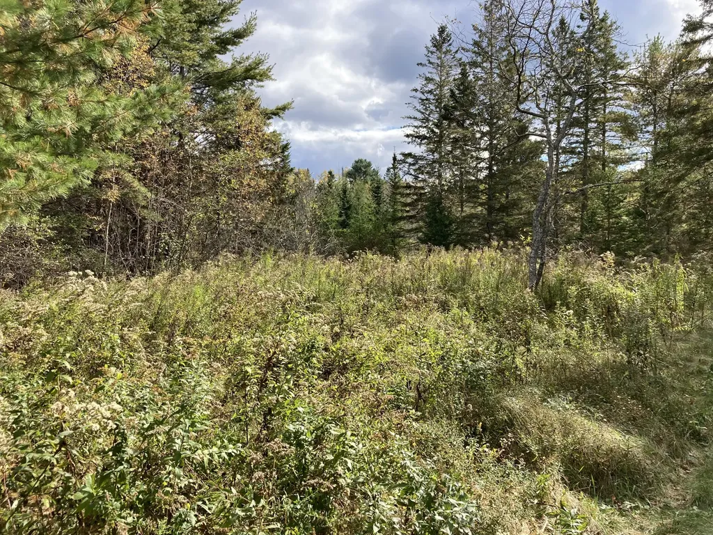 2379 Us Highway 1 Sullivan ME 04664