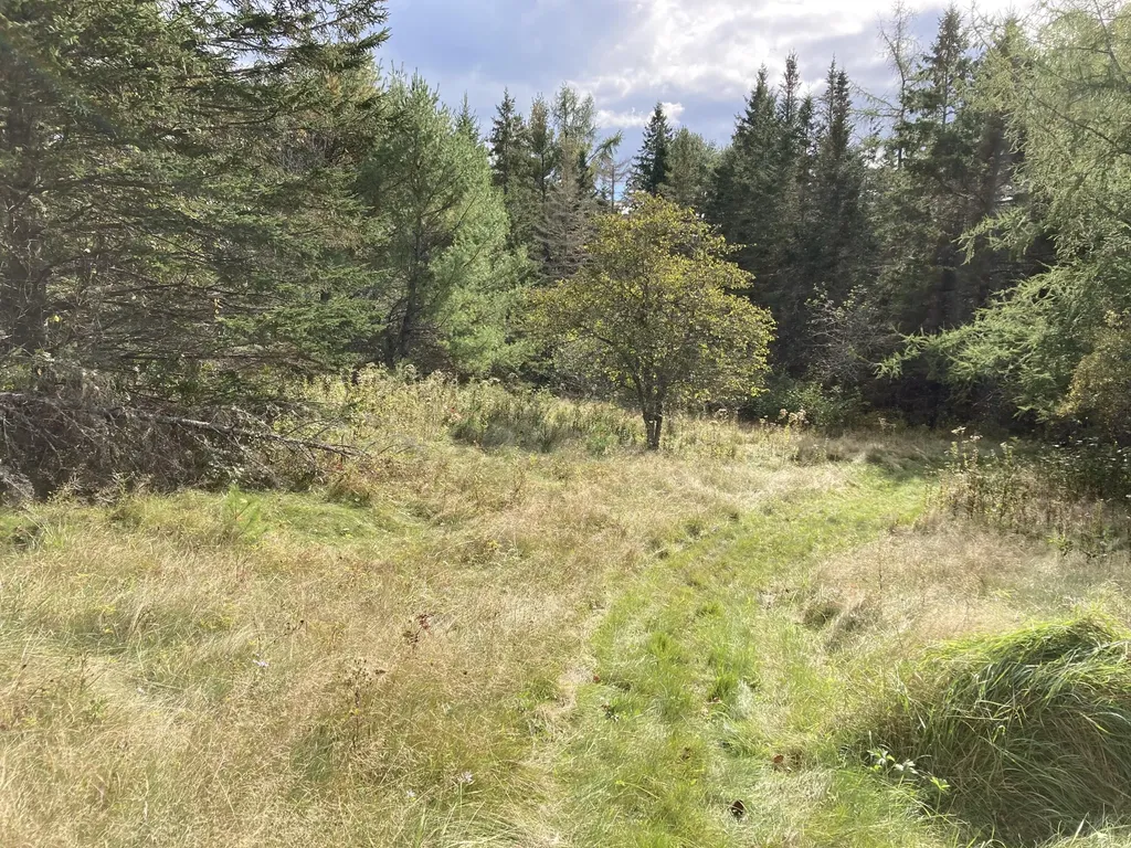 2379 Us Highway 1 Sullivan ME 04664