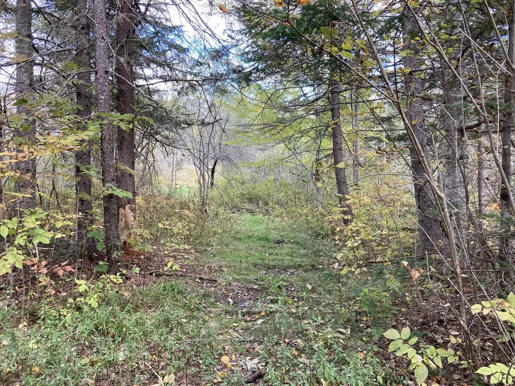 2379 Us Highway 1 Sullivan ME 04664