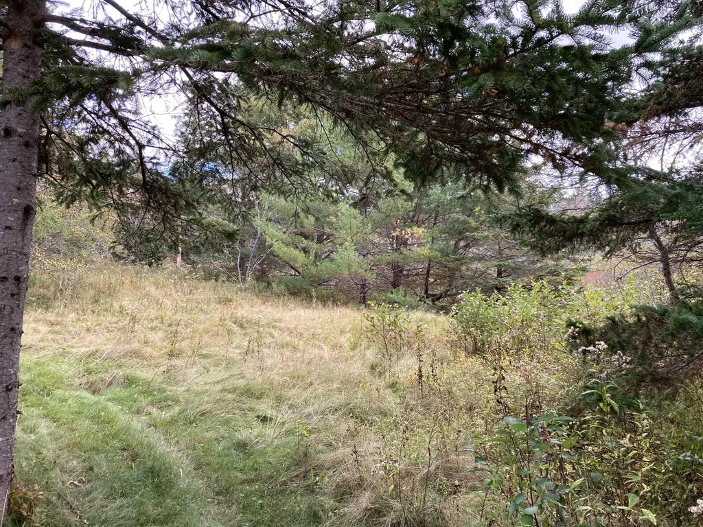 2379 Us Highway 1 Sullivan ME 04664