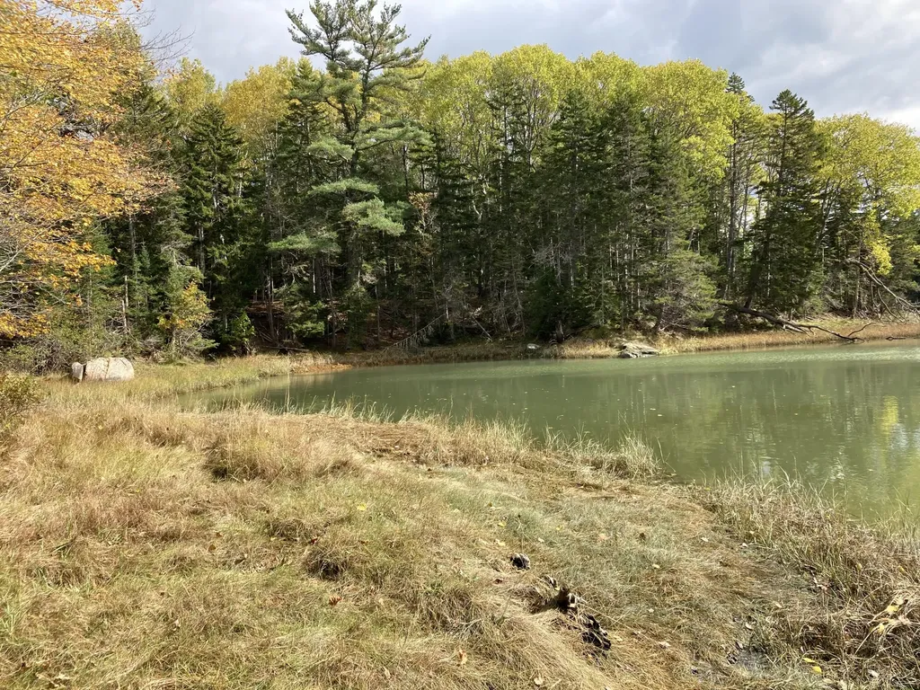 2379 Us Highway 1 Sullivan ME 04664