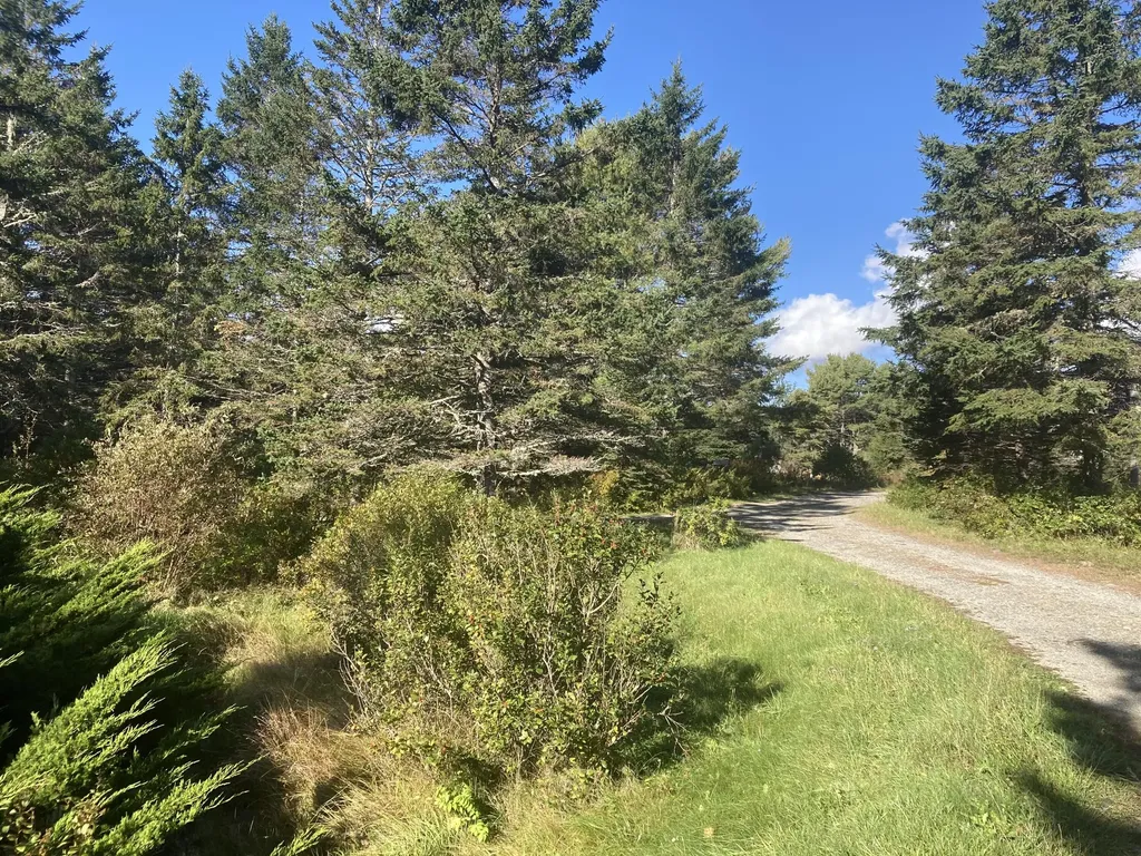 2379 Us Highway 1 Sullivan ME 04664