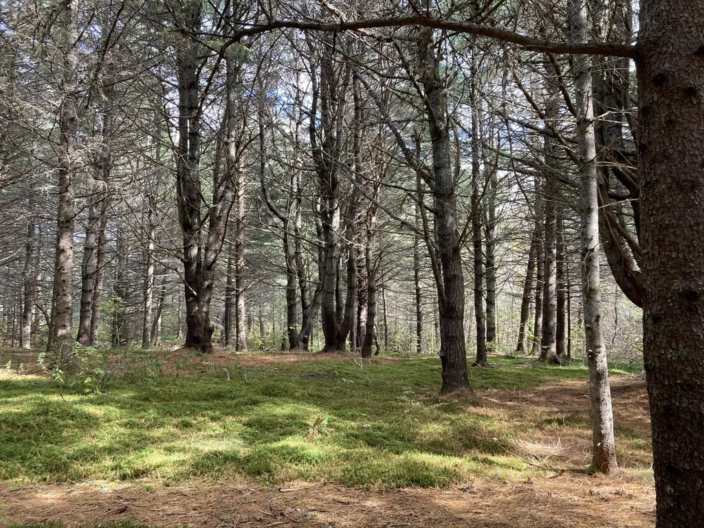 2379 Us Highway 1 Sullivan ME 04664