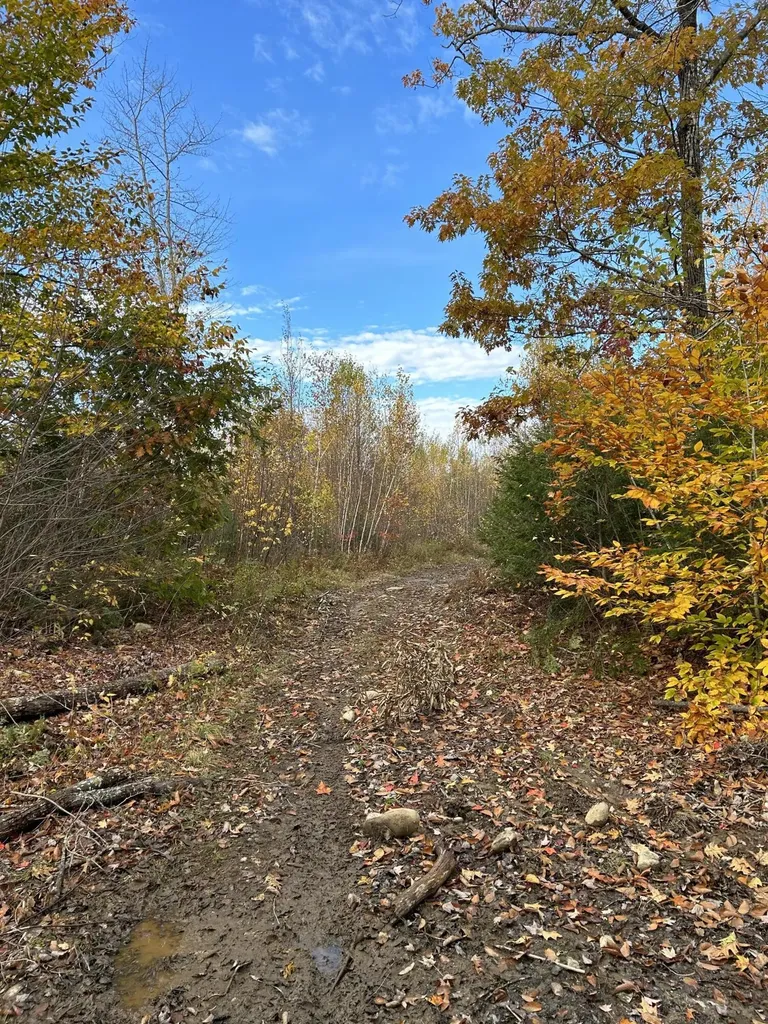 19 Ladd Road Rome ME 04963