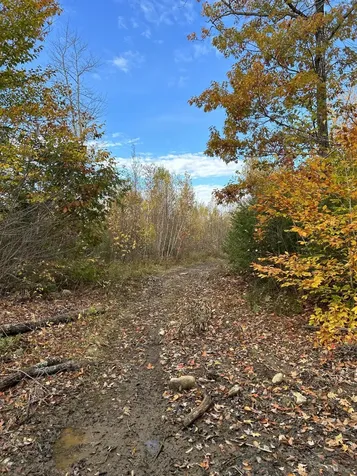 19 Ladd Road Rome ME 04963