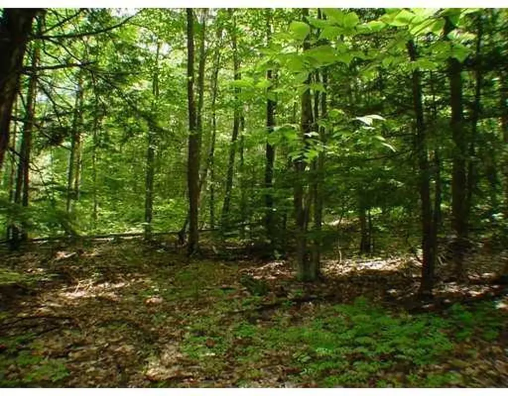 Lot 5 Maplecrest Road Parsonsfield ME 04047