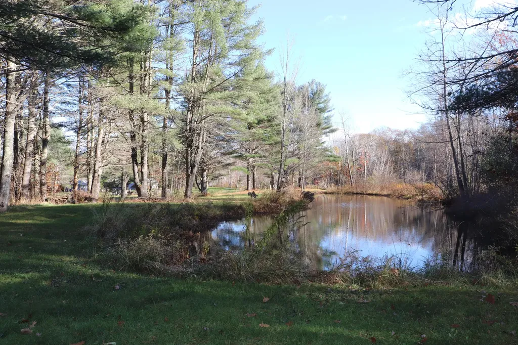 1192 Millvale Road Bucksport ME 04416
