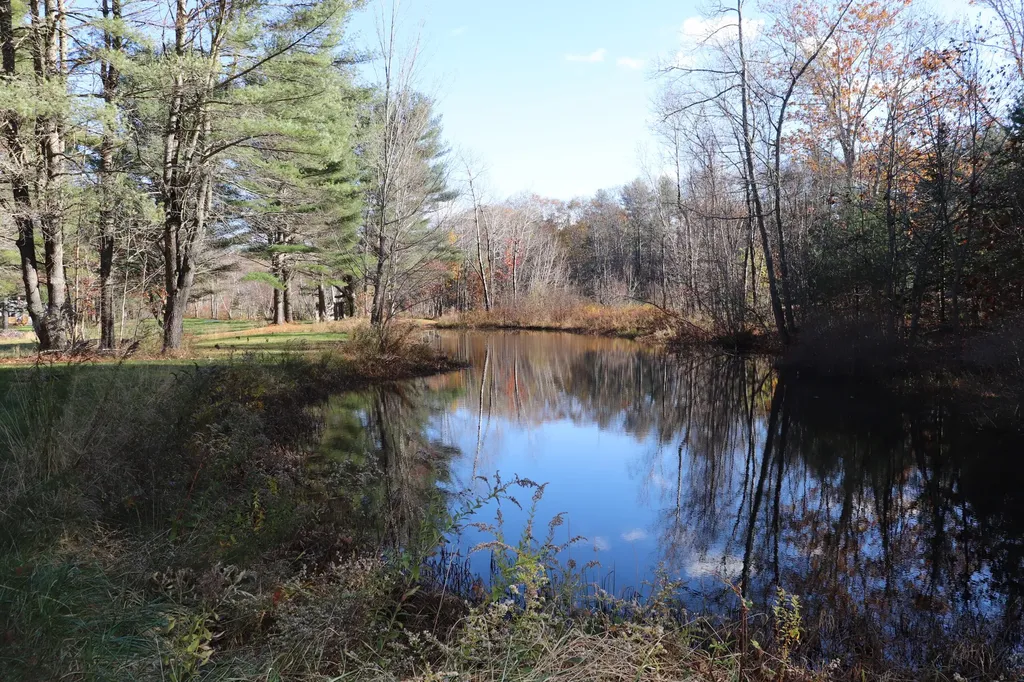 1192 Millvale Road Bucksport ME 04416