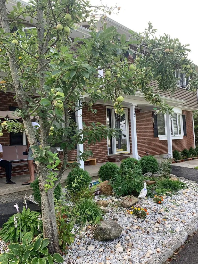 5 Pineland Street Lewiston ME 04240