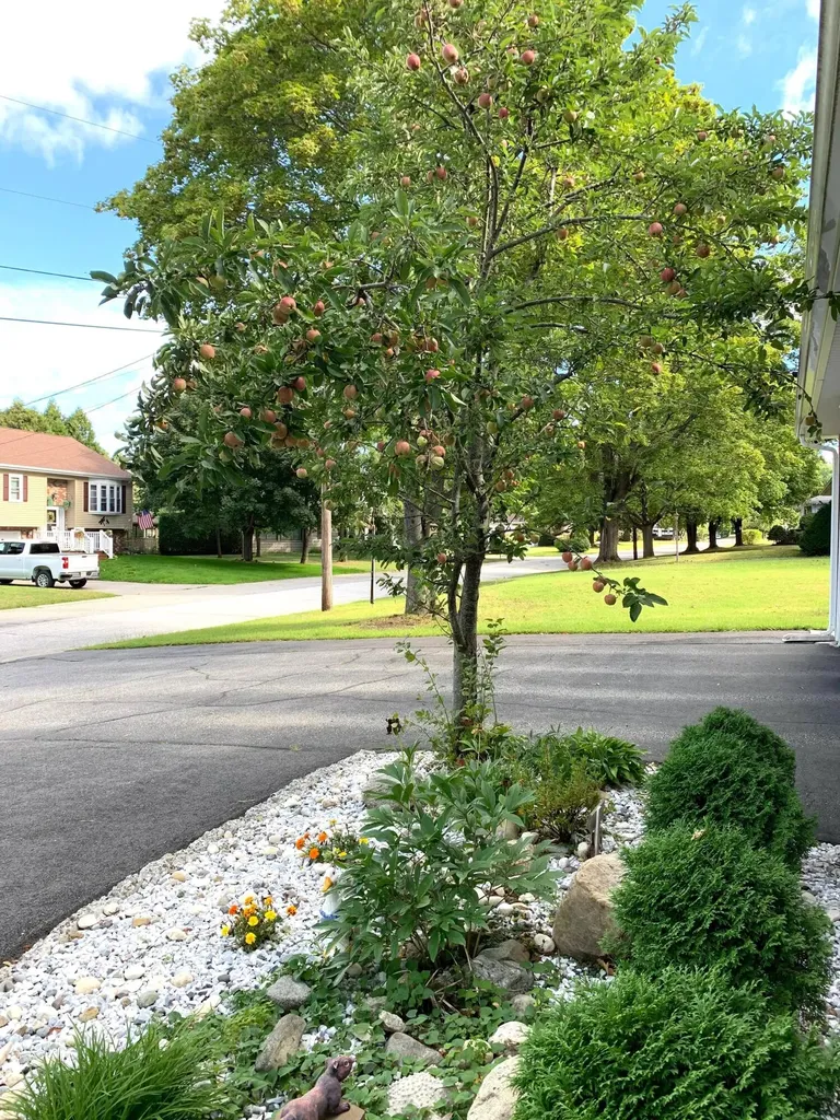 5 Pineland Street Lewiston ME 04240