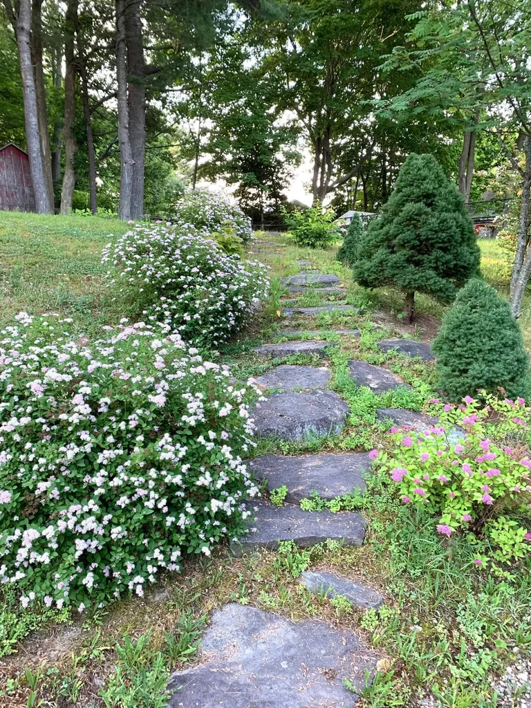 5 Pineland Street Lewiston ME 04240