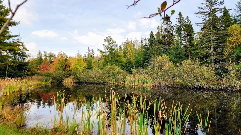 663 Reach Road Deer Isle ME 04627