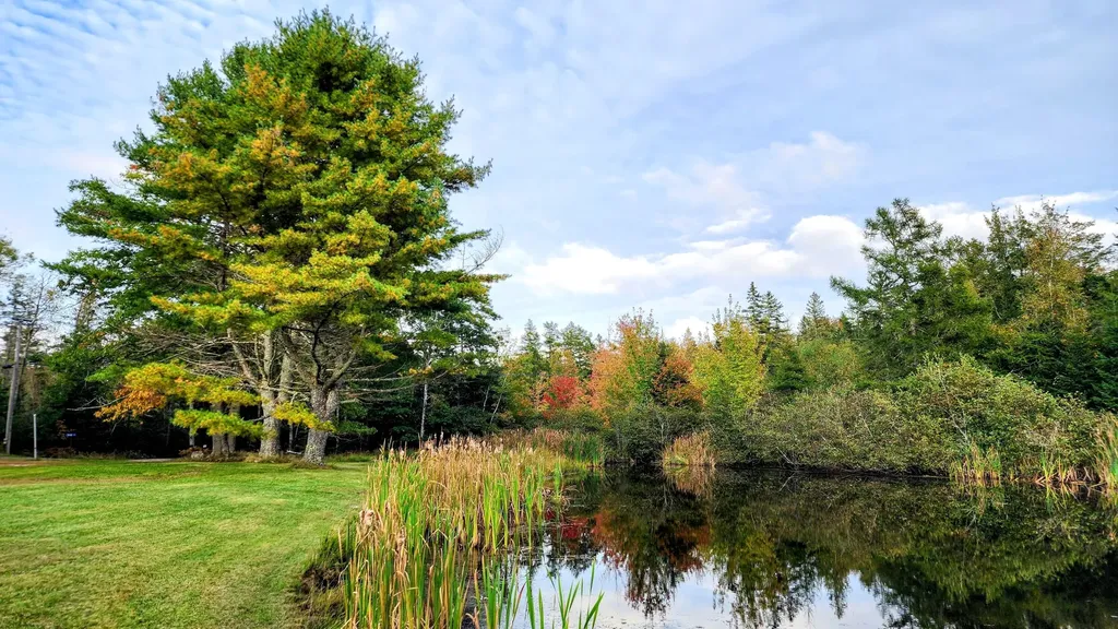 663 Reach Road Deer Isle ME 04627