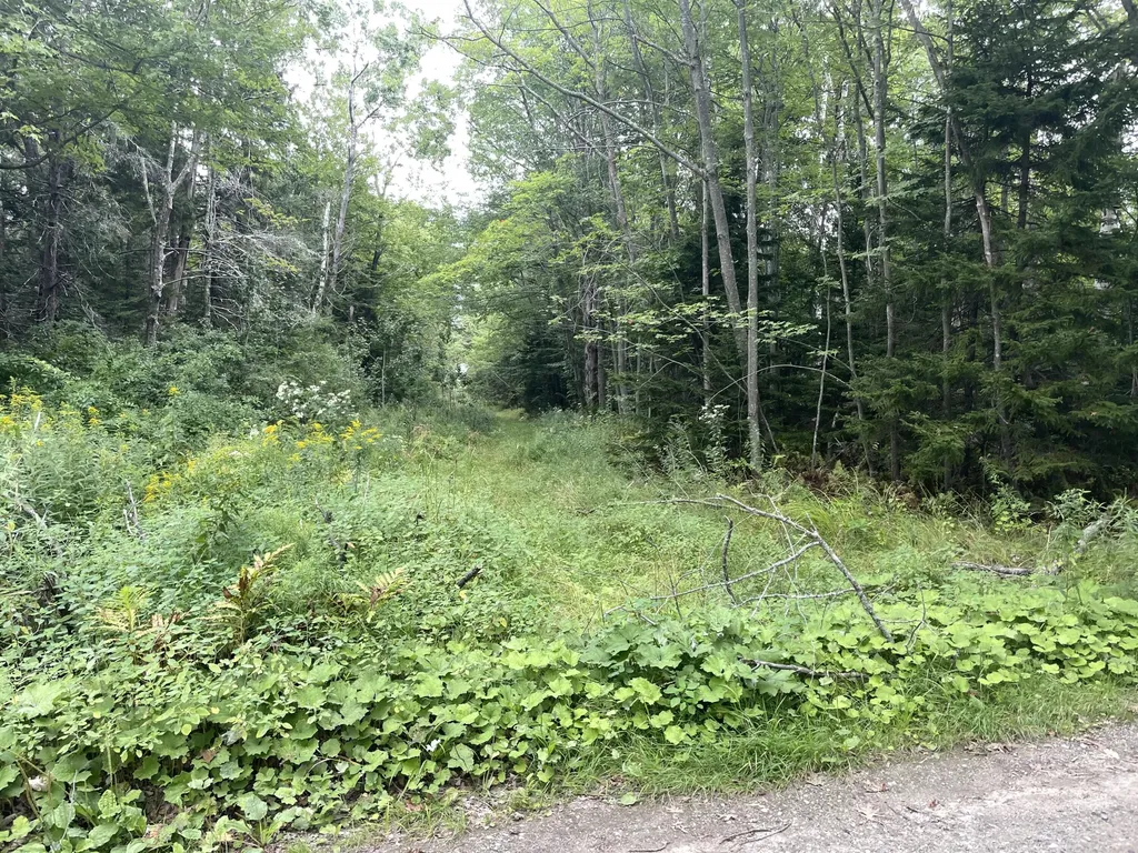 0 Birchmere Lane Harpswell ME 04079