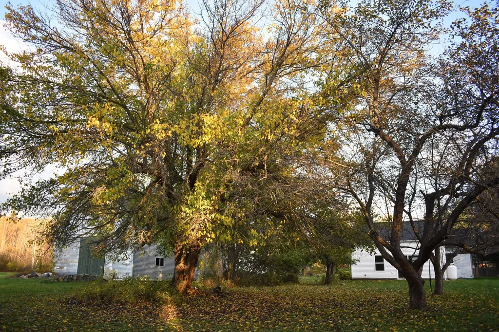 18 Metcalf Road Winthrop ME 04364