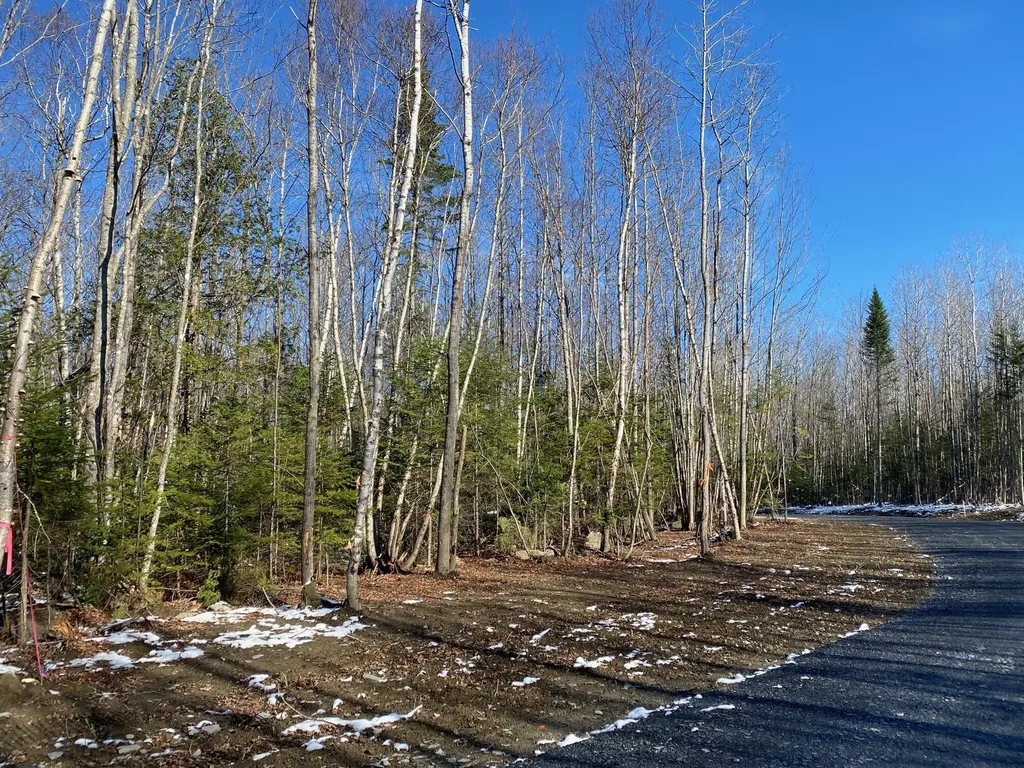6 Tumbledown Lane Greenville ME 04441