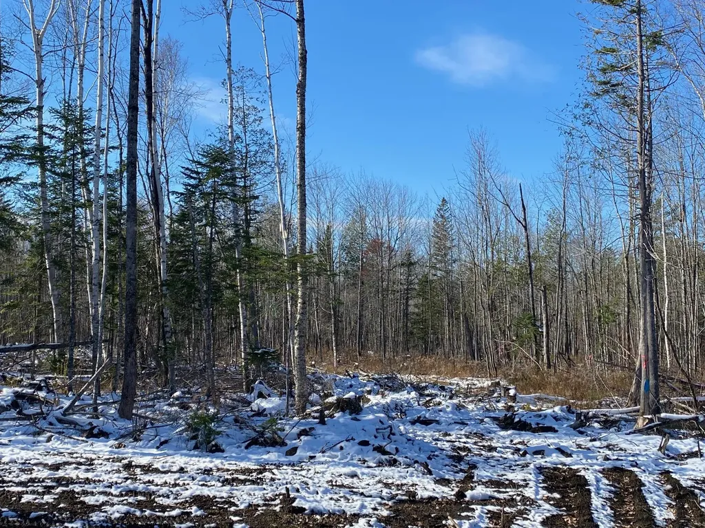 7 Tumbledown Lane Greenville ME 04441