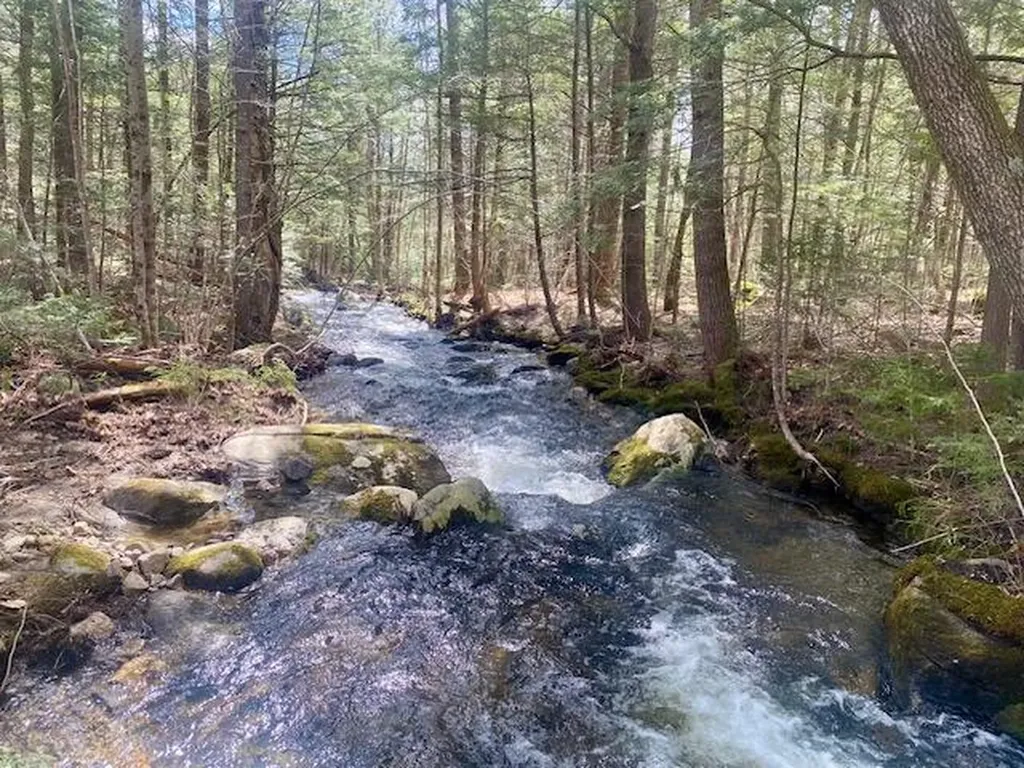 190 Kimball Pond Road Vienna ME 04360