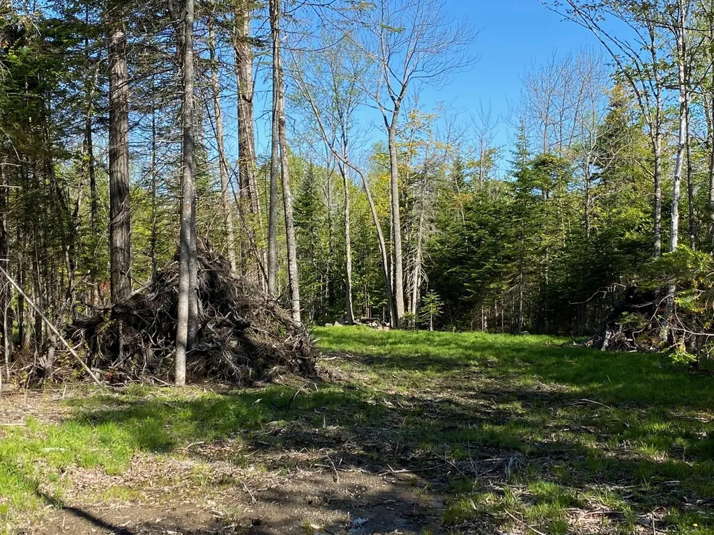 2 Tumbledown Lane Greenville ME 04441