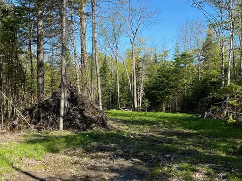 2 Tumbledown Lane Greenville ME 04441