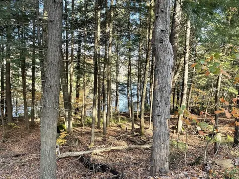 00 Great Moose Drive Hartland ME 04943