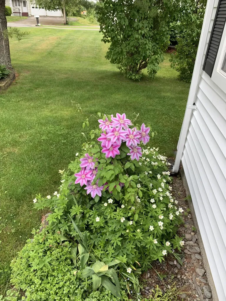 27 Westbrook Terrace Hampden ME 04444