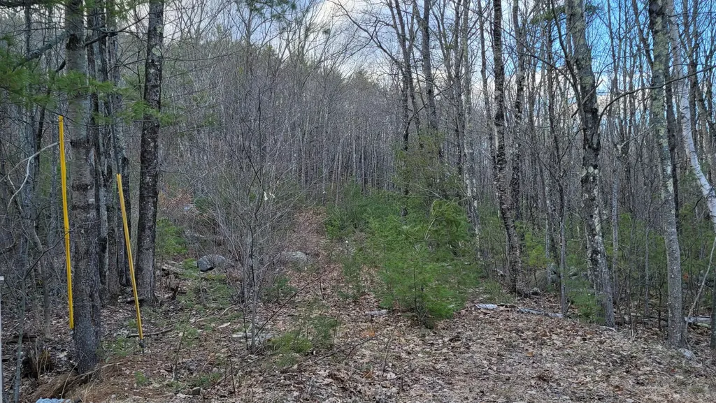 Lot 44-1 South Waterboro Road Lyman ME 04002