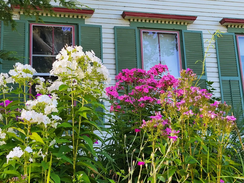 8 Morrill Street Winthrop ME 04364