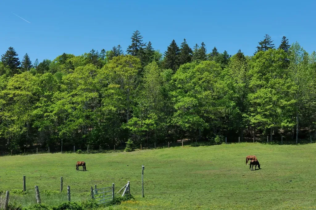 72 Bartlett's Landing Road Mount Desert ME 04660