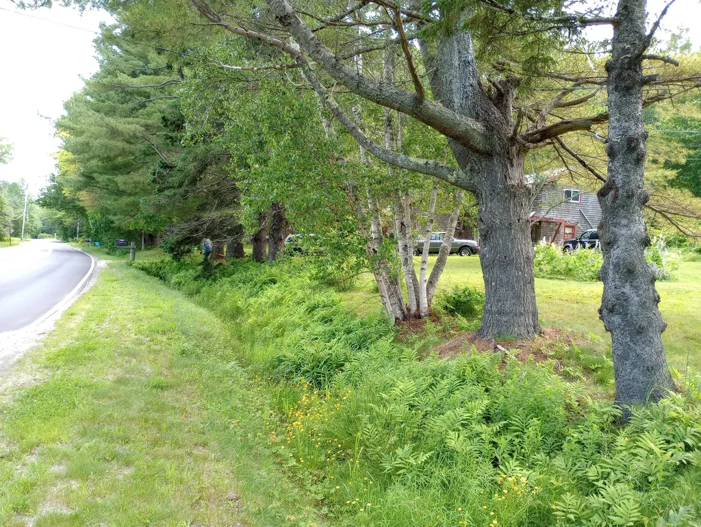 323 Oak Point Road Trenton ME 04605
