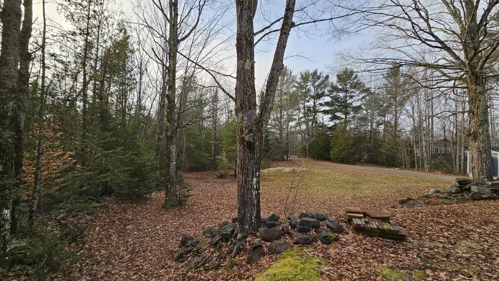 1383 Moosehead Trail Plymouth ME 04969