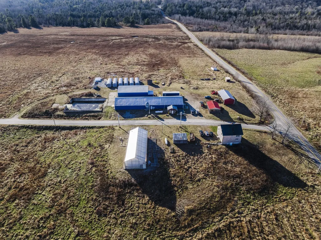 6 Partridge Road Prospect ME 04981