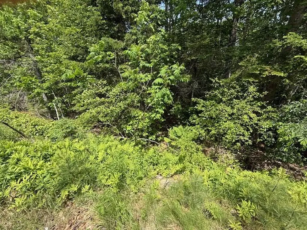00 Moosehorn Drive Bucksport ME 04416
