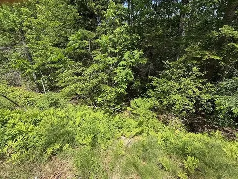 00 Moosehorn Drive Bucksport ME 04416