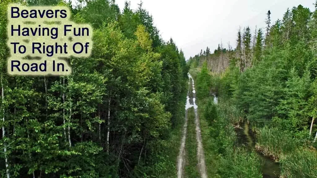 Lot 7 Off Pulcifer Road Mapleton ME 04757