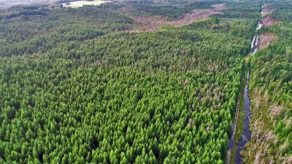 Lot 7 Off Pulcifer Road Mapleton ME 04757