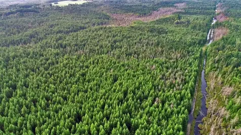 Lot 7 Off Pulcifer Road Mapleton ME 04757