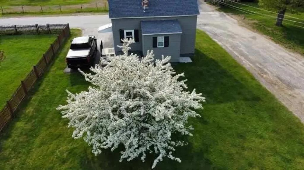 38 Morse Avenue Lewiston ME 04240
