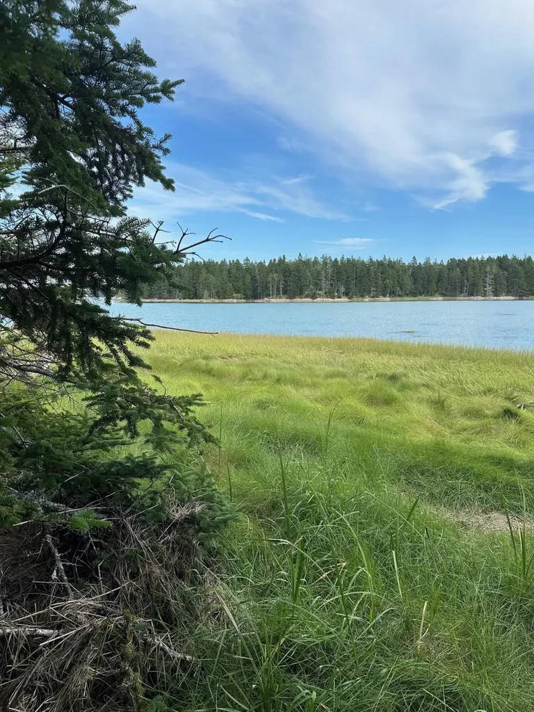 LOT3 Pyne Cove Road Steuben ME 04680