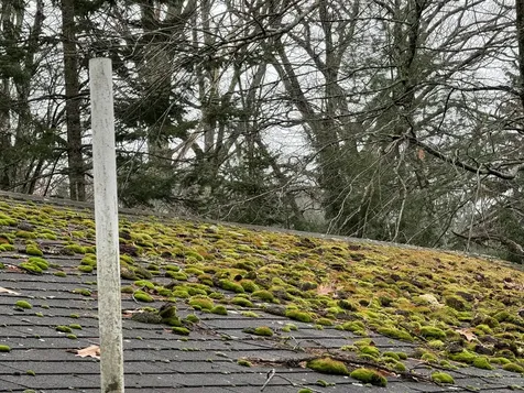 52 Mallett Drive Topsham ME 04086