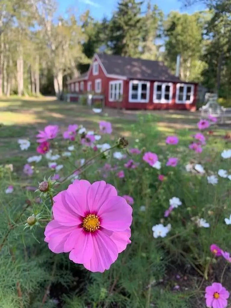 126 John Small Road Chebeague Island ME 04017