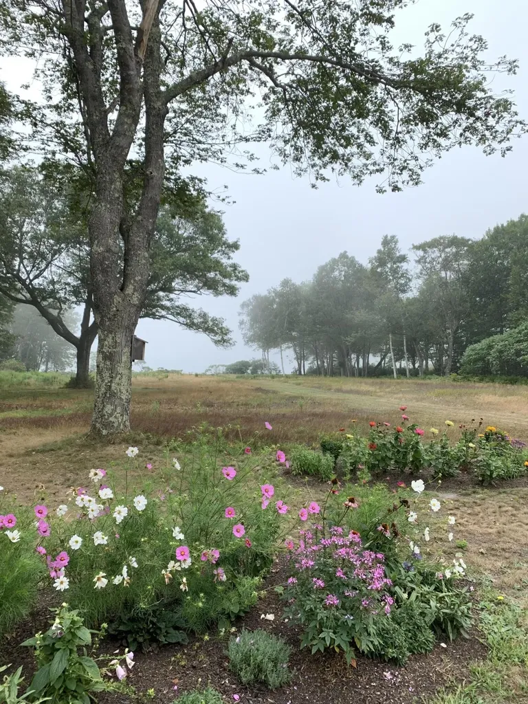 126 John Small Road Chebeague Island ME 04017