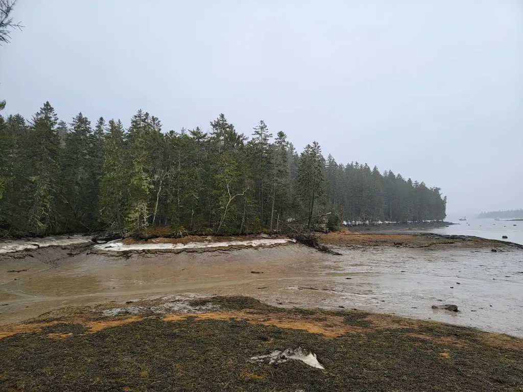 Lot 17 Ripley Road Harrington ME 04463