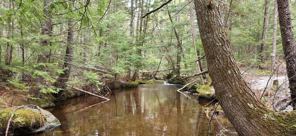 0 NE Northeast Cove Way Ellsworth ME 04605