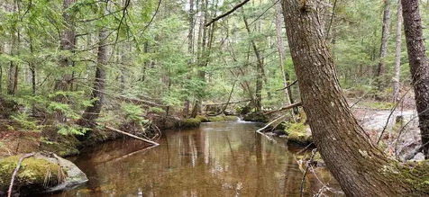 0 NE Northeast Cove Way Ellsworth ME 04605