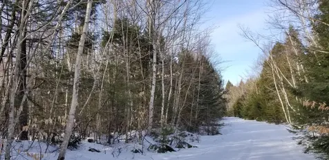 0 NE Northeast Cove Way Ellsworth ME 04605