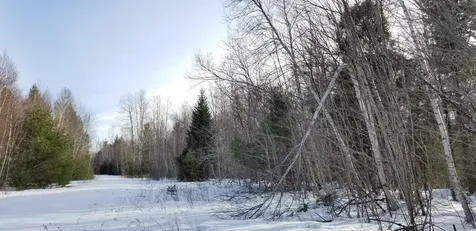 0 NE Northeast Cove Way Ellsworth ME 04605