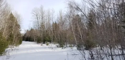 0 NE Northeast Cove Way Ellsworth ME 04605