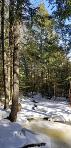 0 NE Northeast Cove Way Ellsworth ME 04605