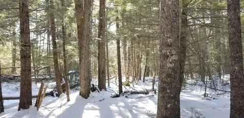0 NE Northeast Cove Way Ellsworth ME 04605